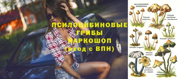 меф Арсеньев